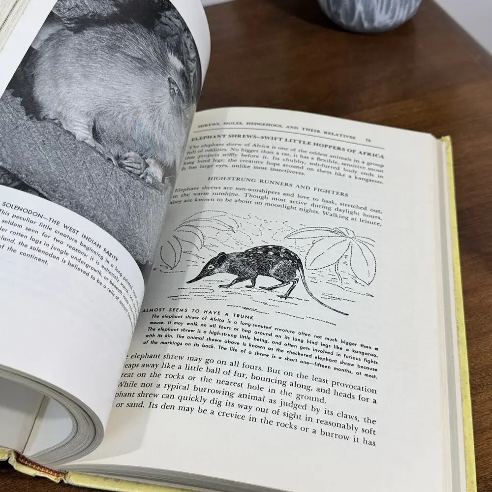 The Illustrated Encyclopedia of Animal Life Mammals Vol 1 Greystone Press 1952